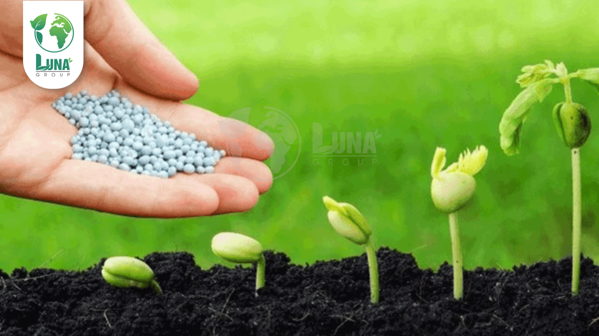 Thông tin chung về phân bón AGro 2 NSG