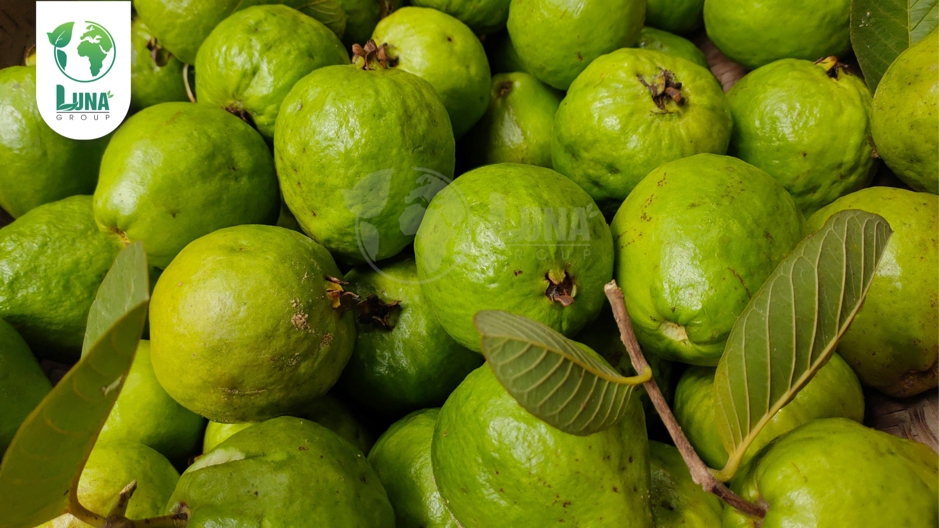Thông tin chung về phân bón NaSaGo 4