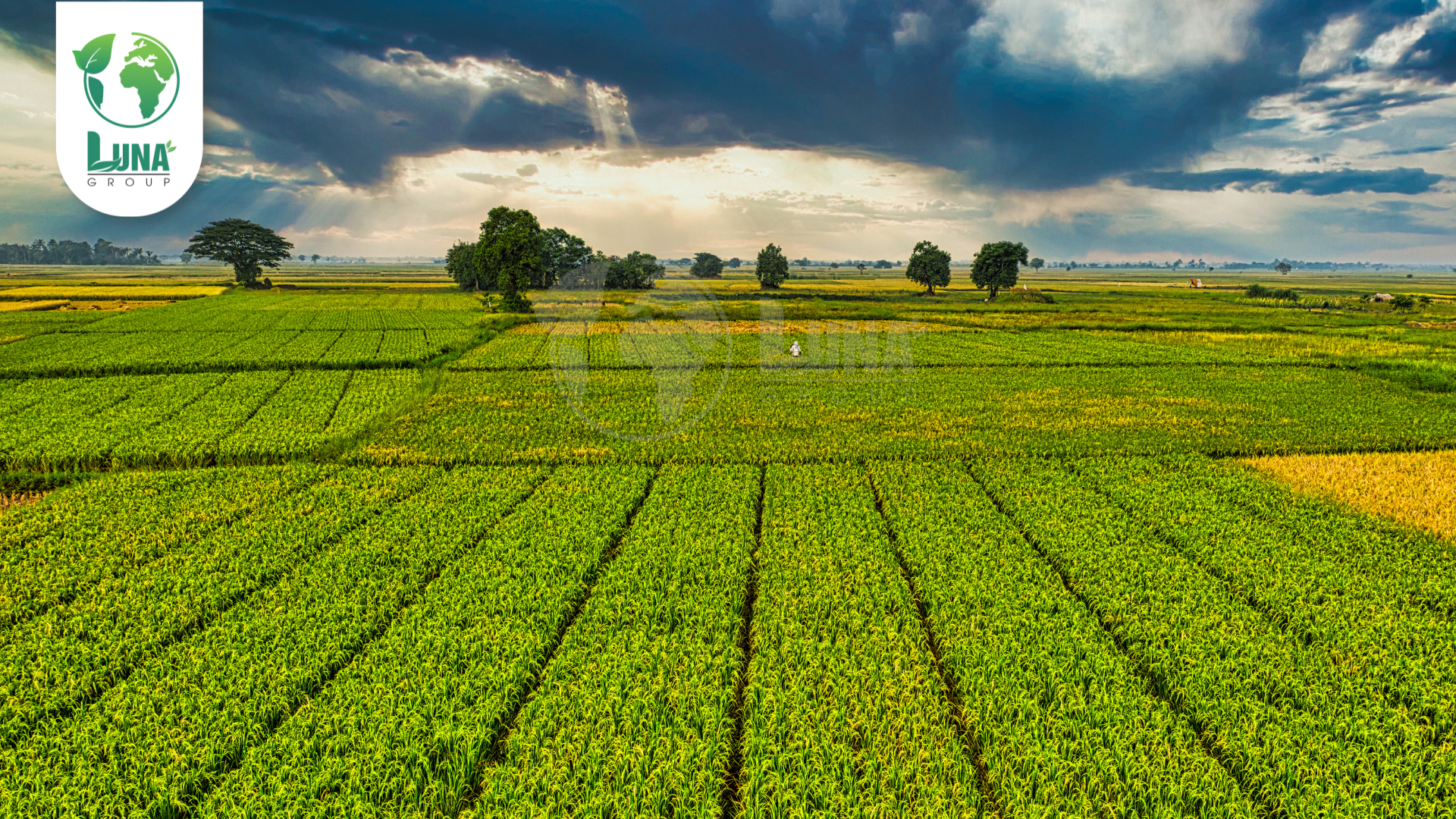 Thông tin chung về phân bón NaSaGo 5
