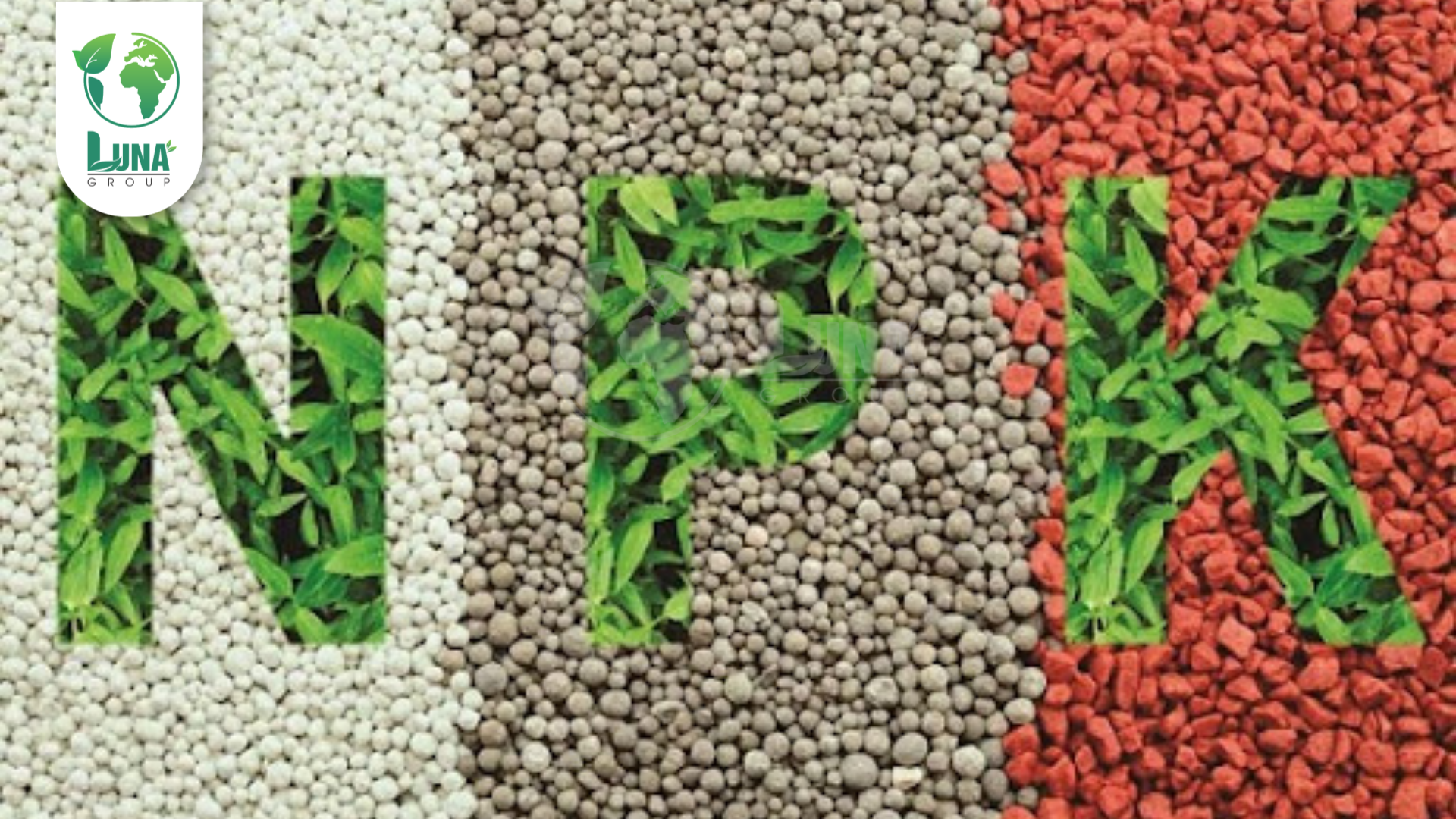 Thông tin chung về phân bón Roots 3 NSG