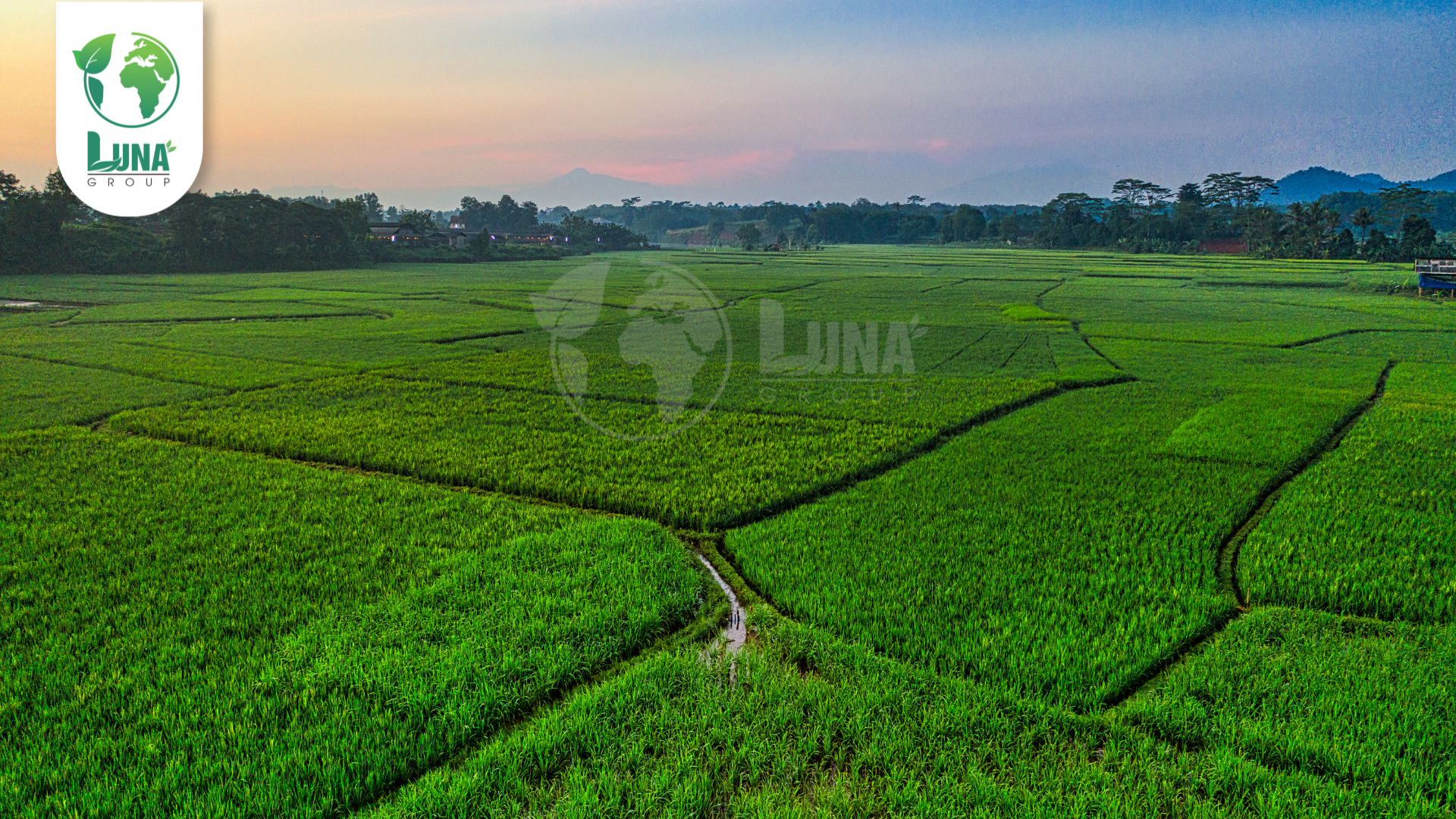 Thông tin chung về phân bón TX_GROWTH A-Z