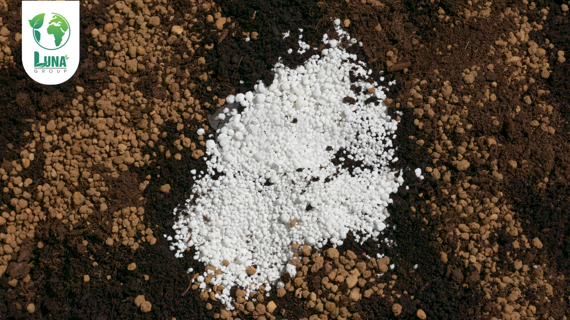 Thông tin chung về phân bón NaSaGo 2